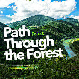 Album cover of Path Through the Forest