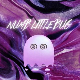 Album cover of Numb Little Bug