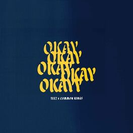 Album cover of Okay Okayy (feat. Common Kings)