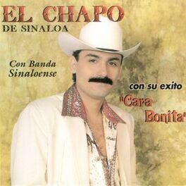Album cover of Con Banda Sinaloense