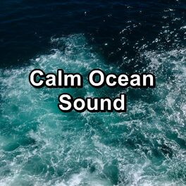 Album cover of Calm Ocean Sound