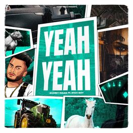 Album cover of Yeah Yeah