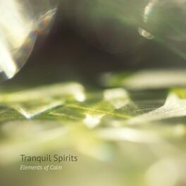 Album cover of Elements of Calm