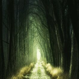 Album cover of WILLOW