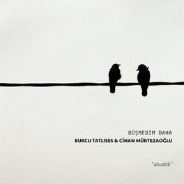 Album cover of Düşmedim Daha (Akustik)