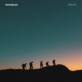 Album cover of Invisibles
