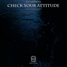 Album cover of Check Your Attitude (feat. Gully & Griploc)