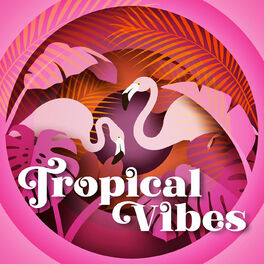 Album cover of Tropical Vibes