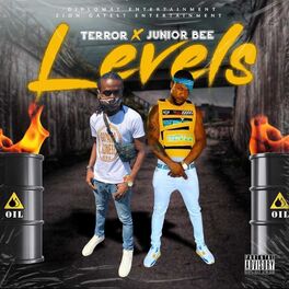 Album cover of Levels (feat. Terror)