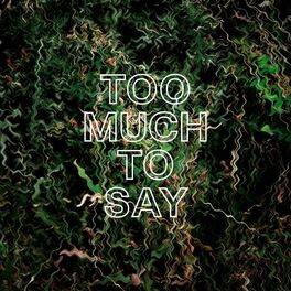 Album cover of Too Much to Say (Single Edit)
