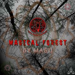 Album cover of Magical Forest