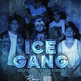 Album cover of IceGang