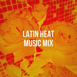 Album cover of Latin Heat Music Mix