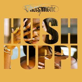 Album cover of Hushpuppi