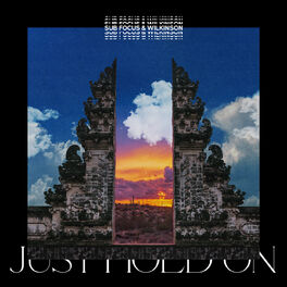 Album cover of Just Hold On (Sub Focus & Wilkinson)