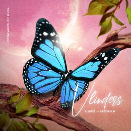 Album cover of Vlinders (feat. Lino & Henna)