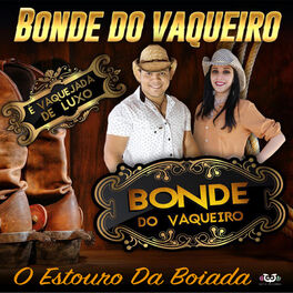 Album cover of O Estouro Da Boiada