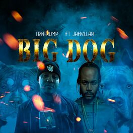 Album cover of Big Dog
