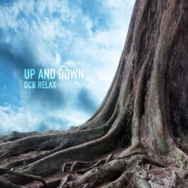 Album cover of Up and Down