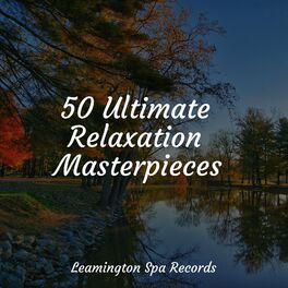 Album cover of 50 Ultimate Relaxation Masterpieces