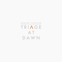 Album cover of Triage At Dawn