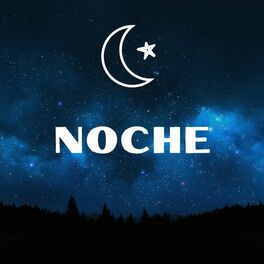 Album cover of Noche