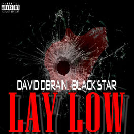 Album cover of Lay Low (feat. Black Star)