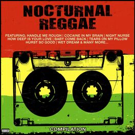 Album cover of Nocturnal Reggae Compilation
