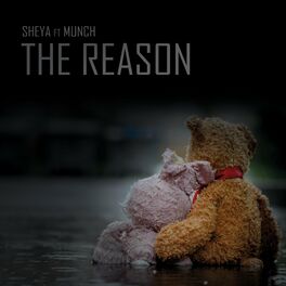 Album cover of The Reason
