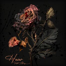 Album cover of Hasar