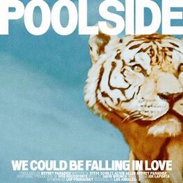 Album cover of We Could Be Falling In Love