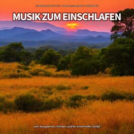 Album cover of Musik zum Einschlafen zum Ausspannen, Erholen und für einen tiefen Schlaf