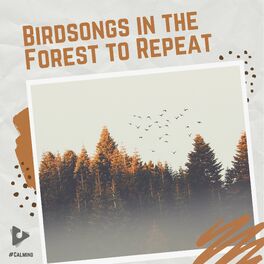Album cover of Birdsongs in the Forest to Repeat