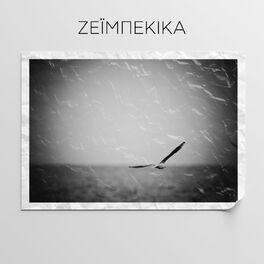 Album cover of Ζεϊμπέκικα - Greek Zeibekiko