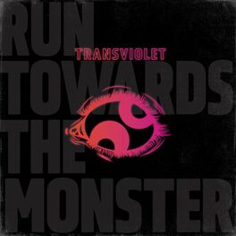 Album cover of Run Towards The Monster