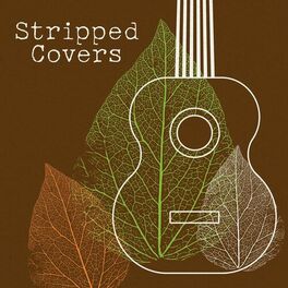 Album cover of Stripped Covers