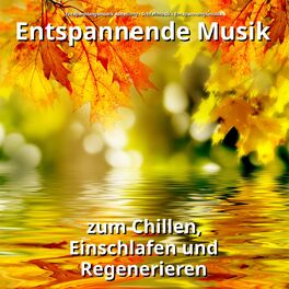 Album cover of Entspannende Musik zum Chillen, Einschlafen und Regenerieren