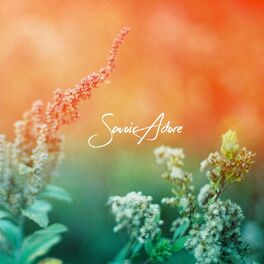 Album cover of Full Bloom