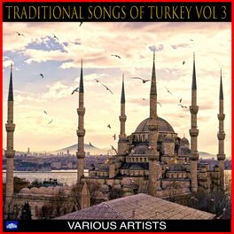 Album cover of Traditional Songs of Turkey Vol .3