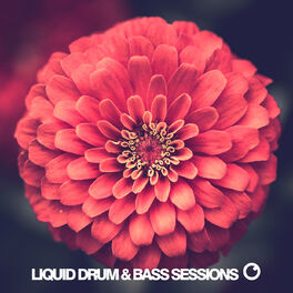 Album cover of Liquid Drum & Bass Sessions 2020 Vol 8