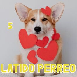 Album cover of Latido Perreo Vol. 5