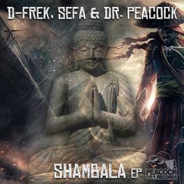 Album cover of Shambala