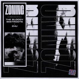 Album picture of Zoning
