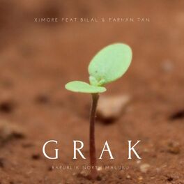 Album cover of GRAK