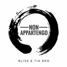 Album cover of Non Appartengo (feat. Bliss, Bko & Low P.)