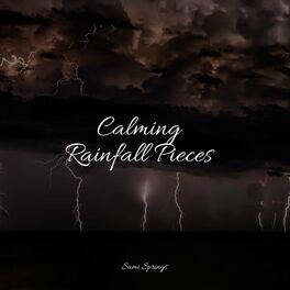 Album cover of Calming Rainfall Pieces