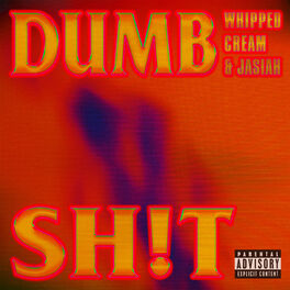 Album cover of DUMB SH!T