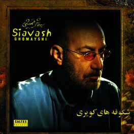 Album cover of Shokoufehaye Kaviri - Persian Music