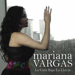 Album cover of La Gata Bajo la Lluvia