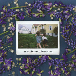 Album cover of At Weddings